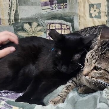 Jack Simpson — thumbnail 2