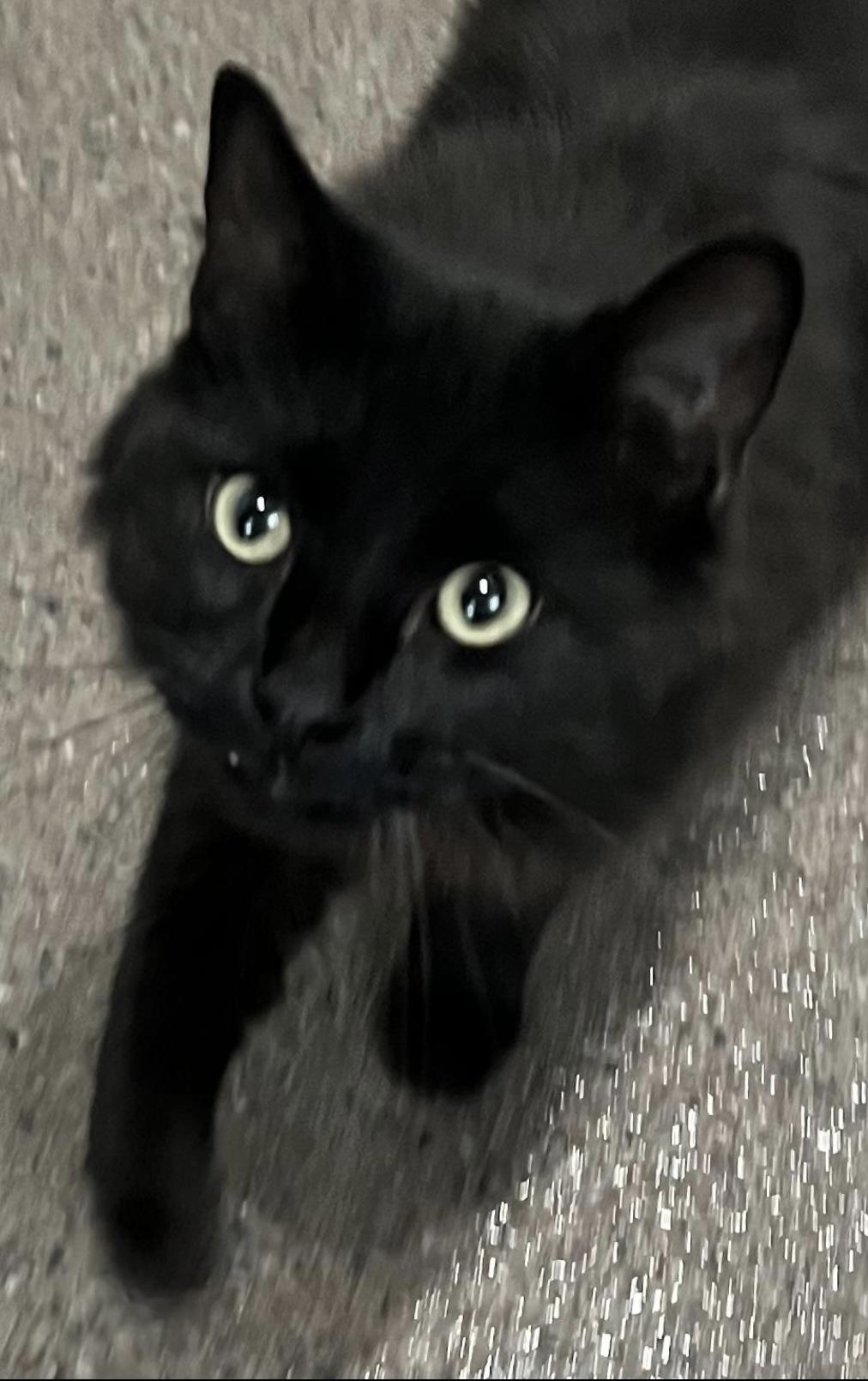 Storm (previously Smoke)