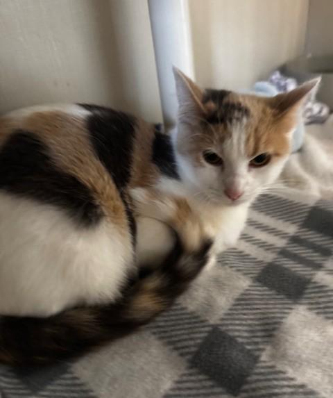 Fluffer Nutter and Wednesday