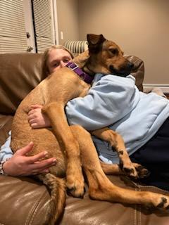 Enlarge Cody, a Adoptable mixed breed in Amherst, NY image 3/6