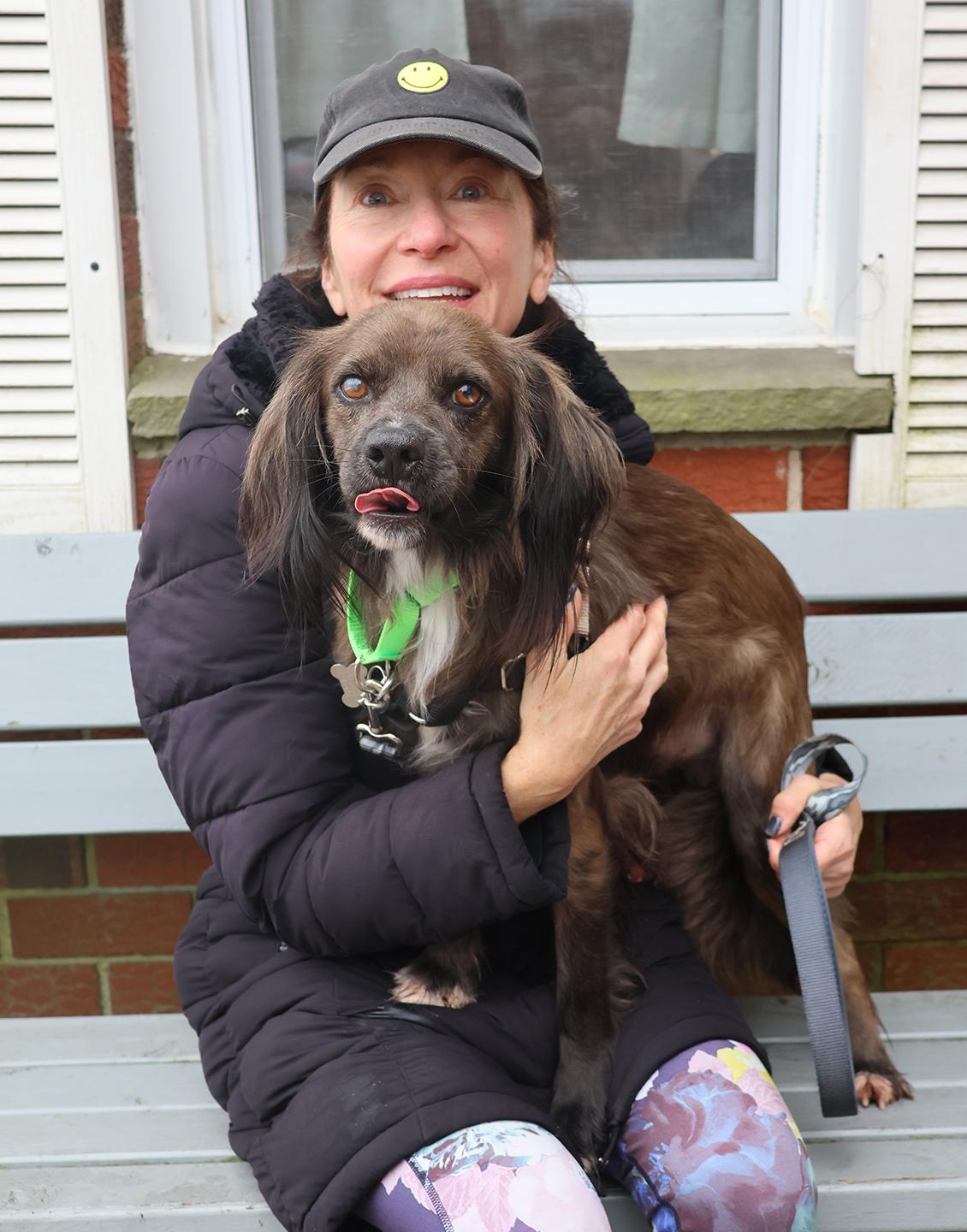 Enlarge Cocoa Crisp, an adoptable Spaniel in Harrison, NY image 6/6