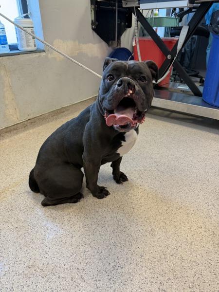 Lucy-Belle — thumbnail 3