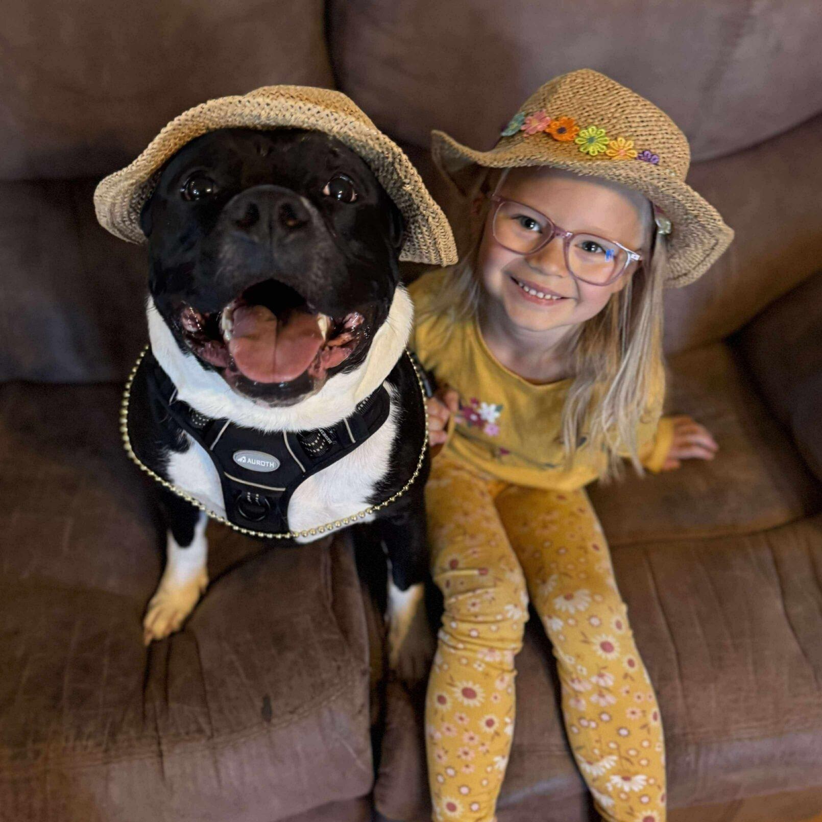 Chunk, an adoptable Pit Bull Terrier in Mead, CO, 80542 | Photo Image 3