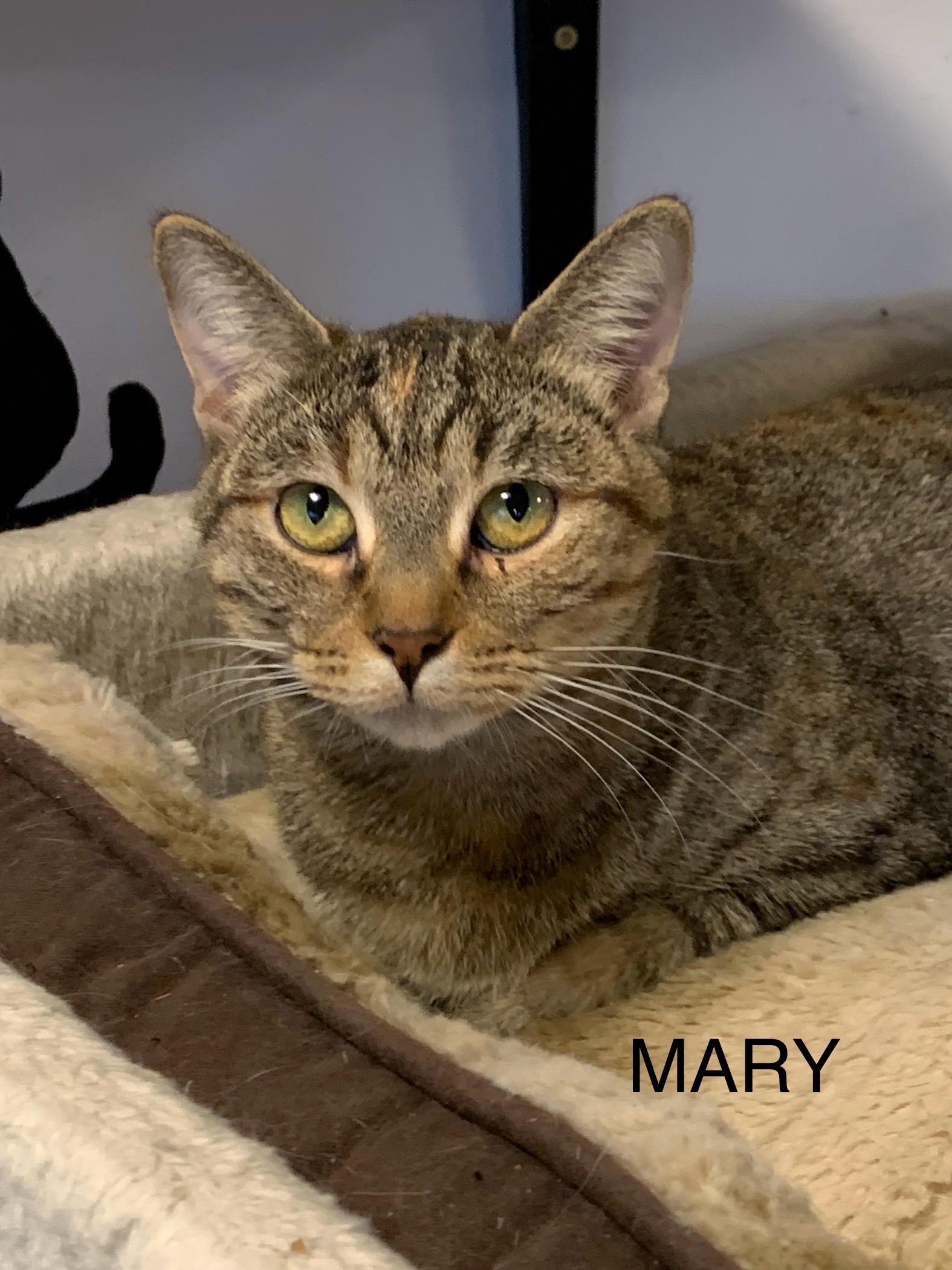 Mary photo 2