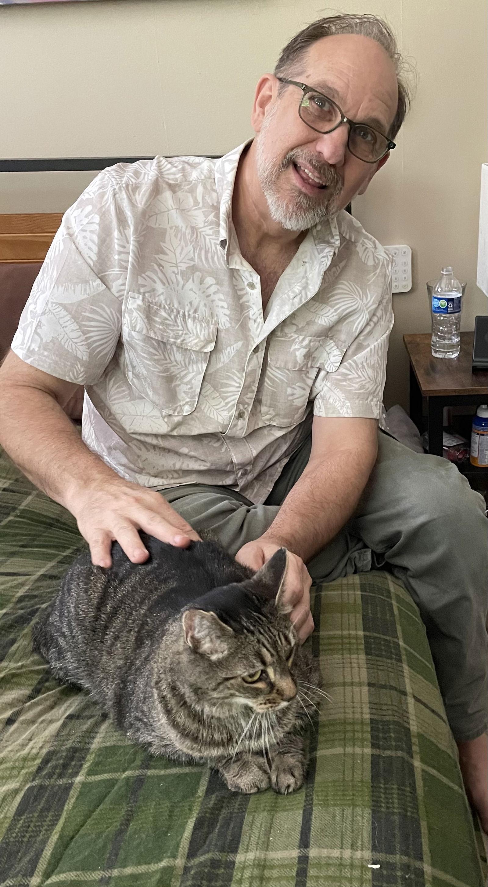 Dorothy, Adopted, Senior Female Domestic Short Hair.