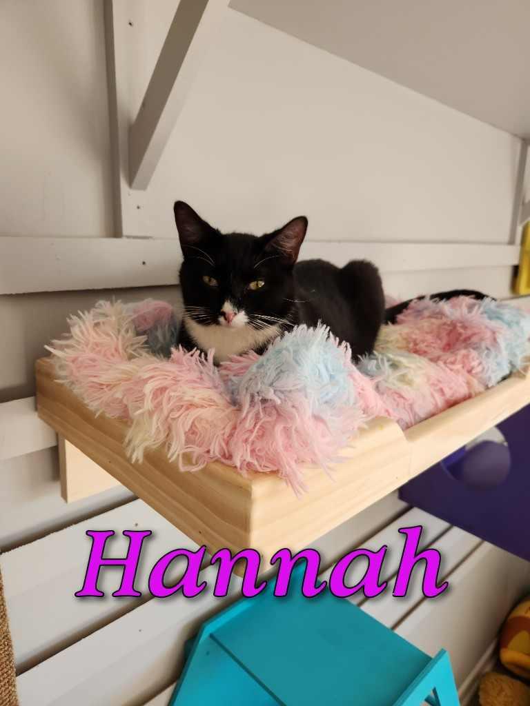 Hannah