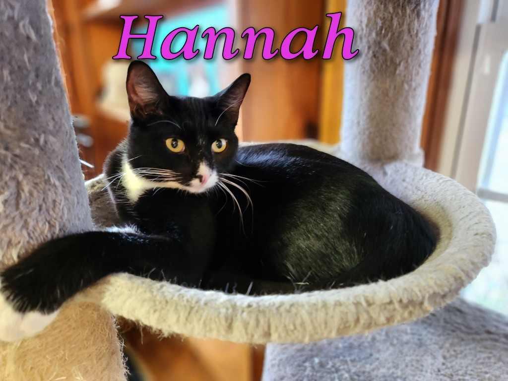 Hannah