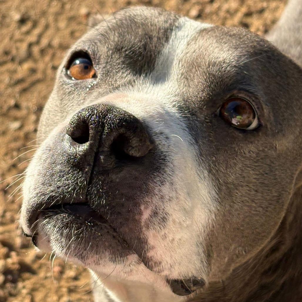 Goddess — thumbnail 2