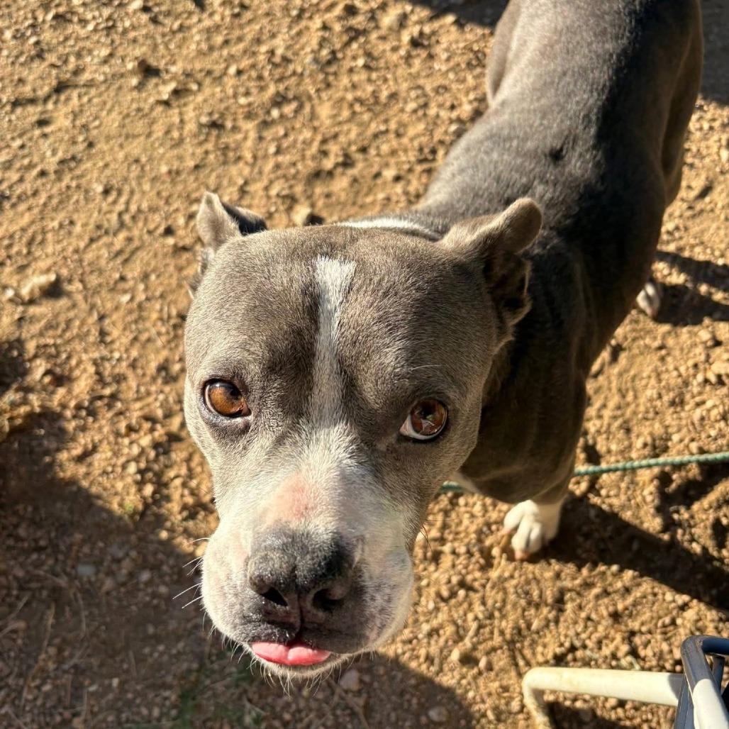 Goddess — thumbnail 3