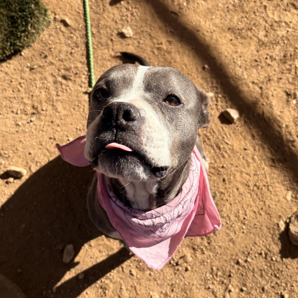 Goddess — thumbnail 4