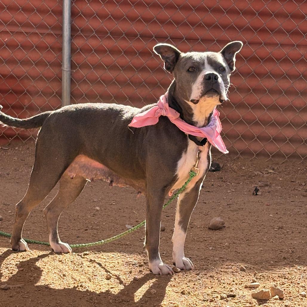 Goddess — thumbnail 5