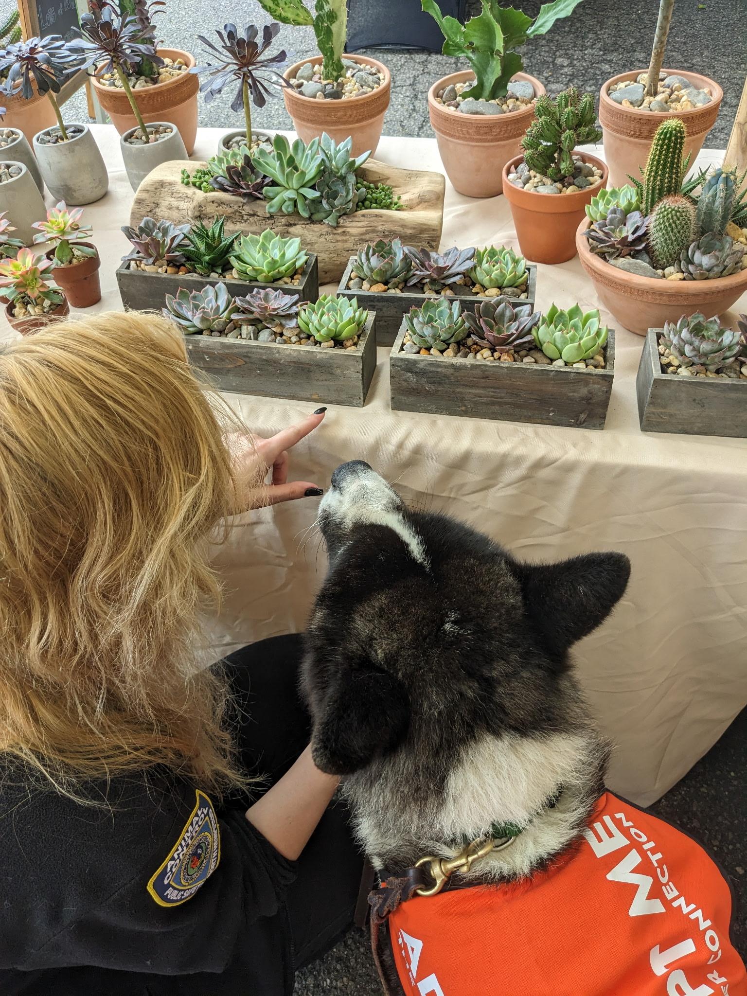 Kuma photo 3