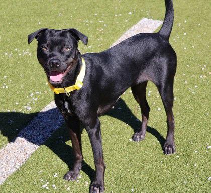 Moolah Athens thumbnail 3