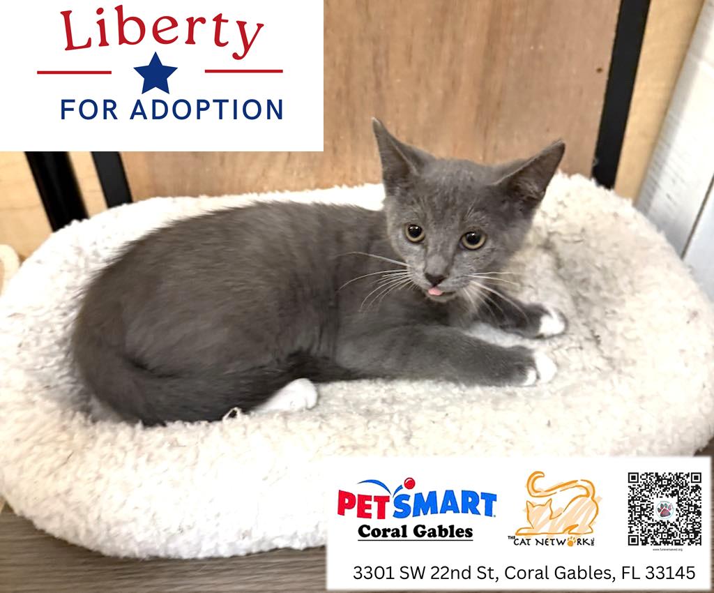 Liberty photo 3