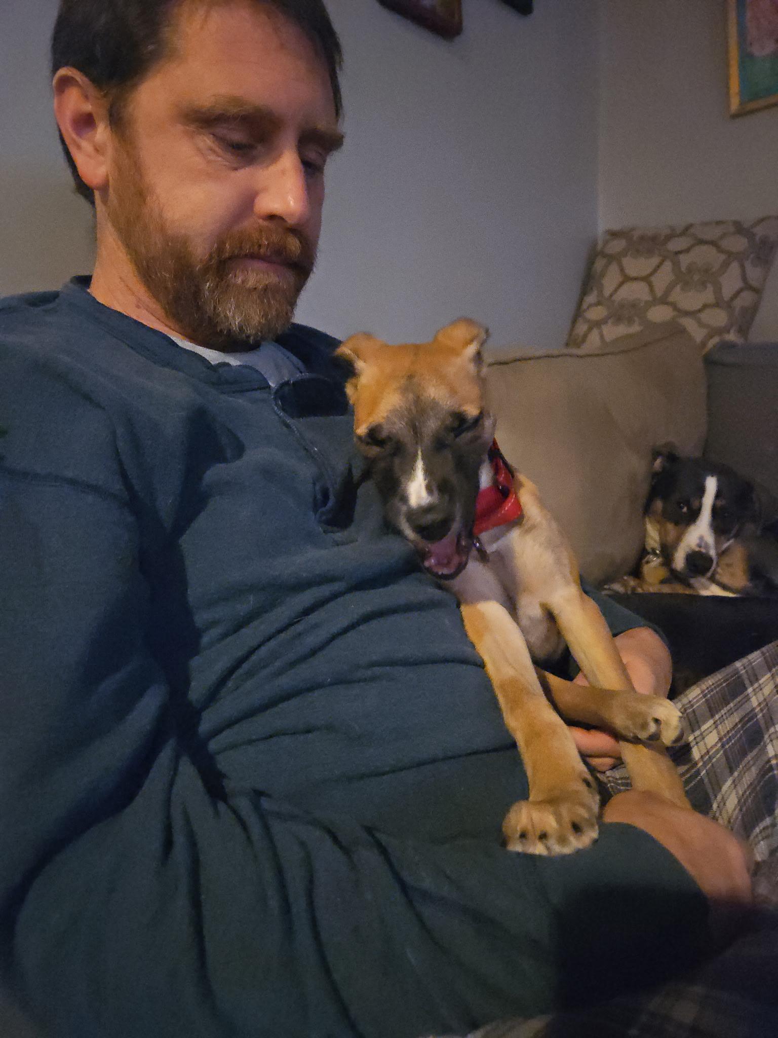 Amethyst, an adopted Mixed Breed in Bowdoin, ME image 6/6