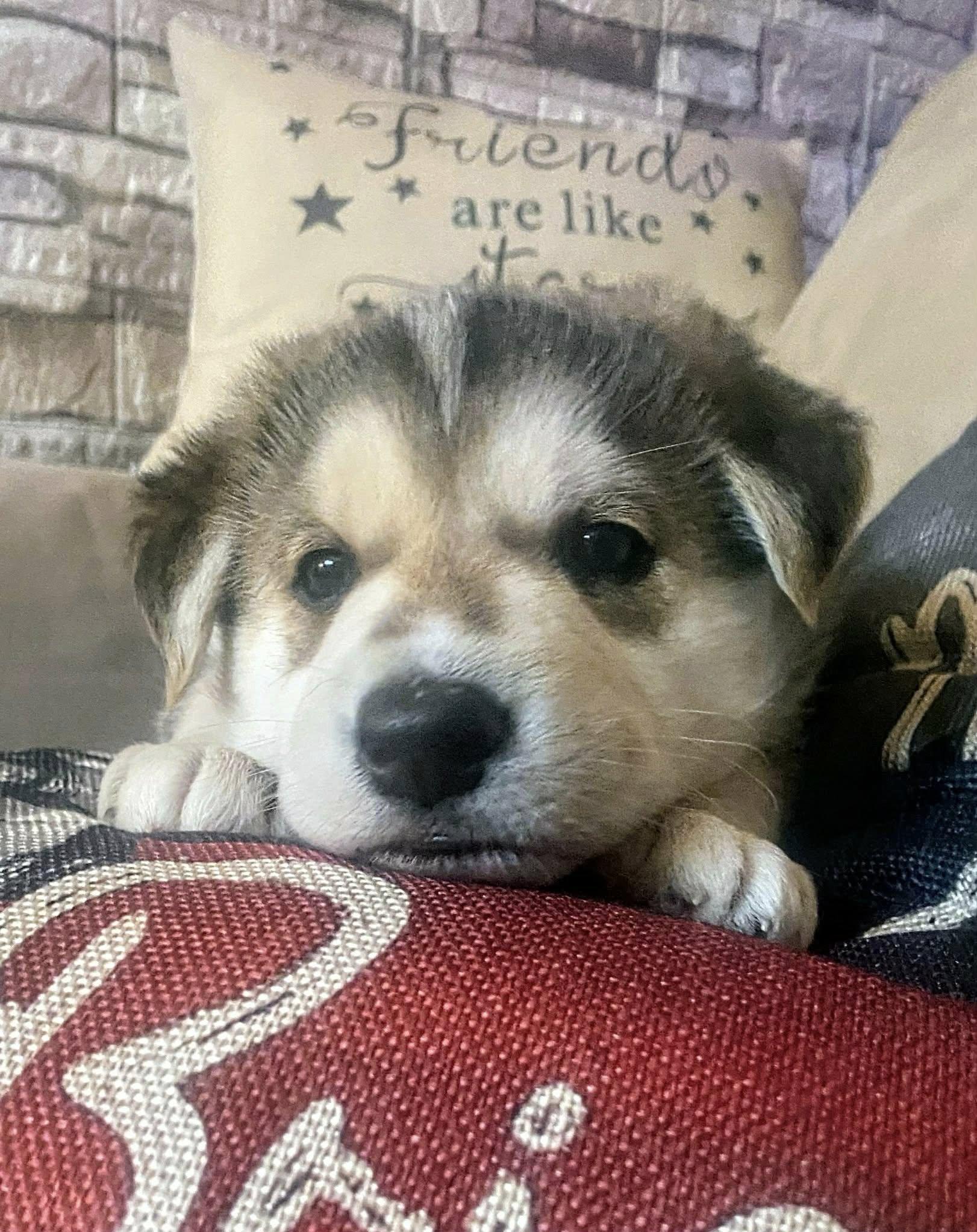 Georga (20251222-10) — thumbnail 4