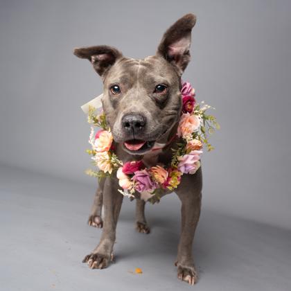 Cardigan — thumbnail 2