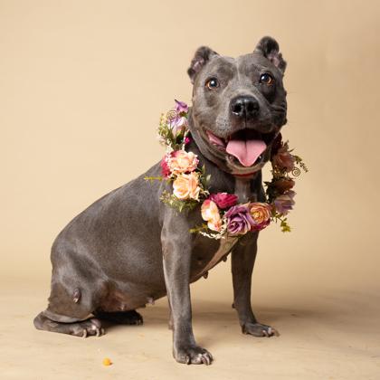 Cardigan — thumbnail 3