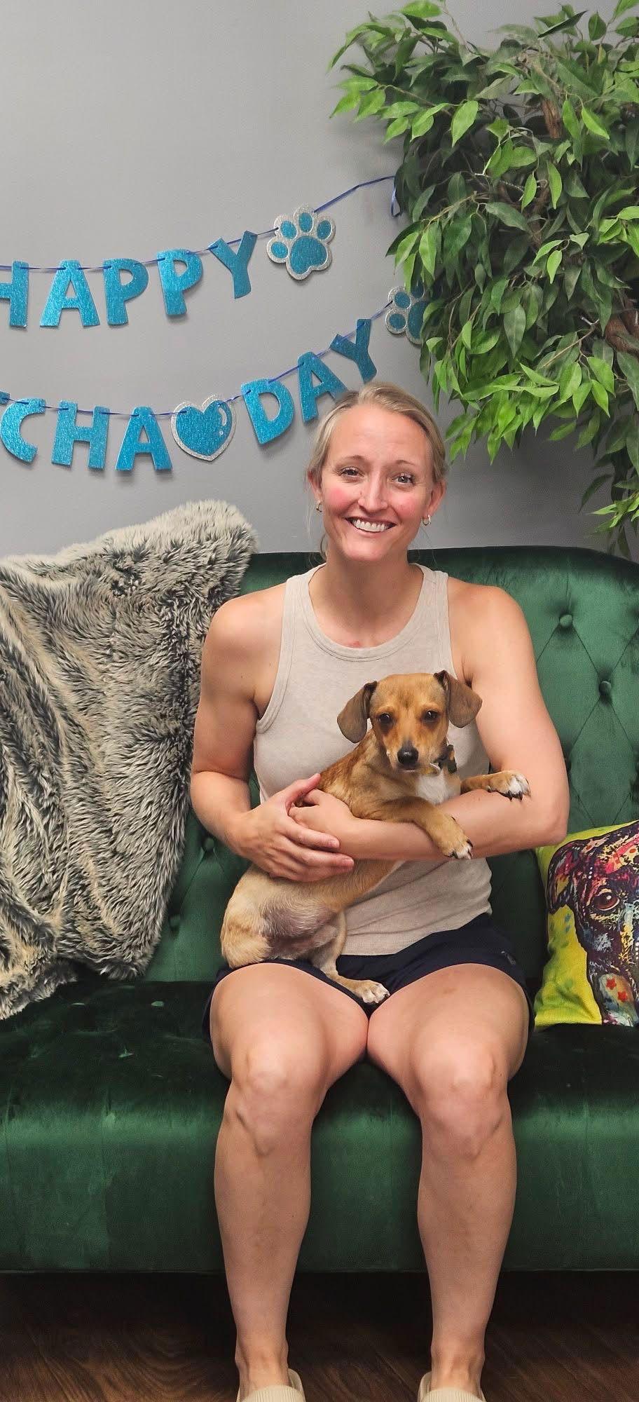 Teddy, a Adopted mixed breed in Tonawanda, NY image 3/3