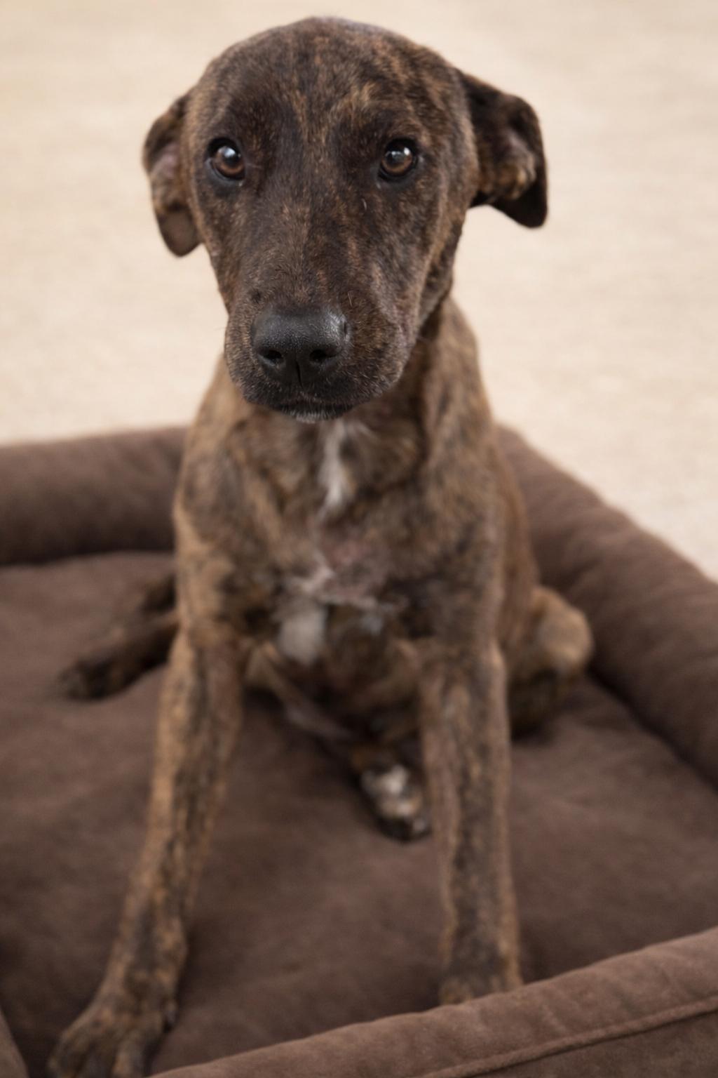 Brynn — thumbnail 5