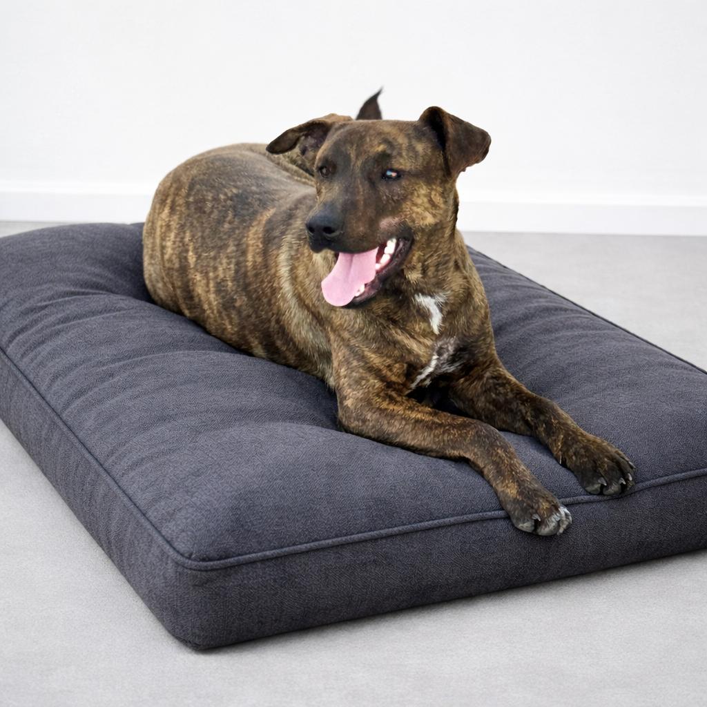 Brynn — thumbnail 6