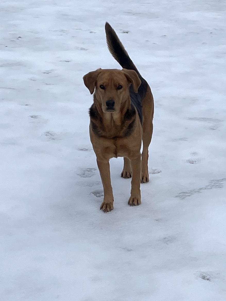Penelope photo 4