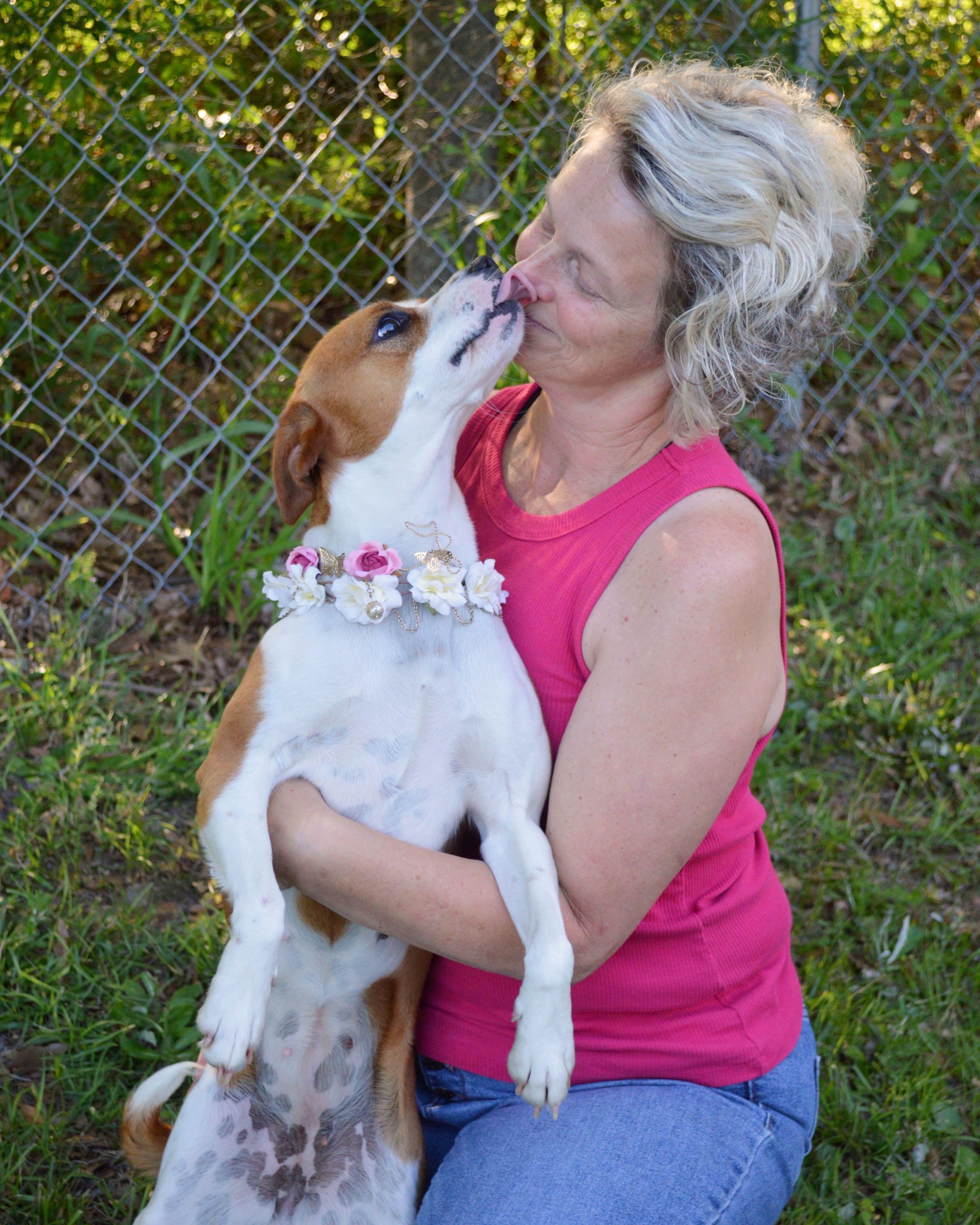 Chicky, a Adoptable mixed breed in Milton, FL image 3/5
