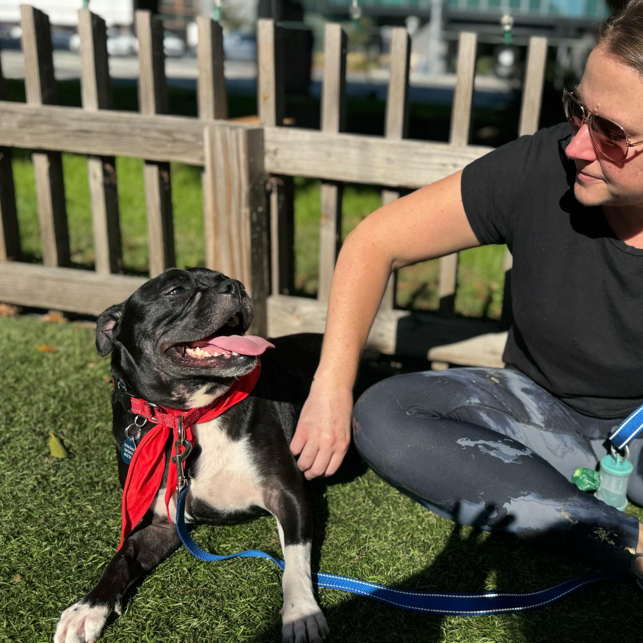 Enlarge Sparky, a Adoptable mixed breed in Burbank, CA image 2/5