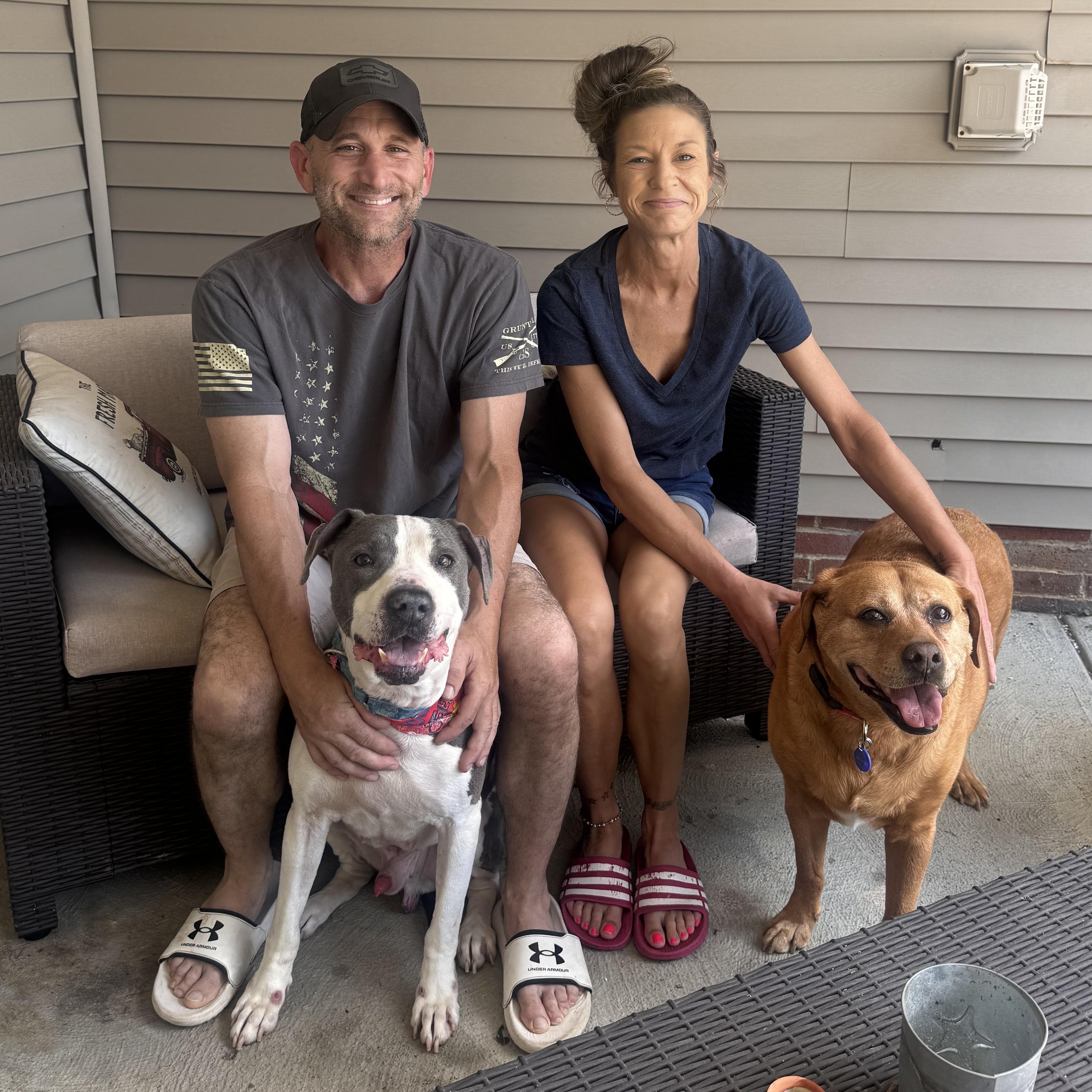 Kado, adopted, Puppy Male Pit Bull Terrier.