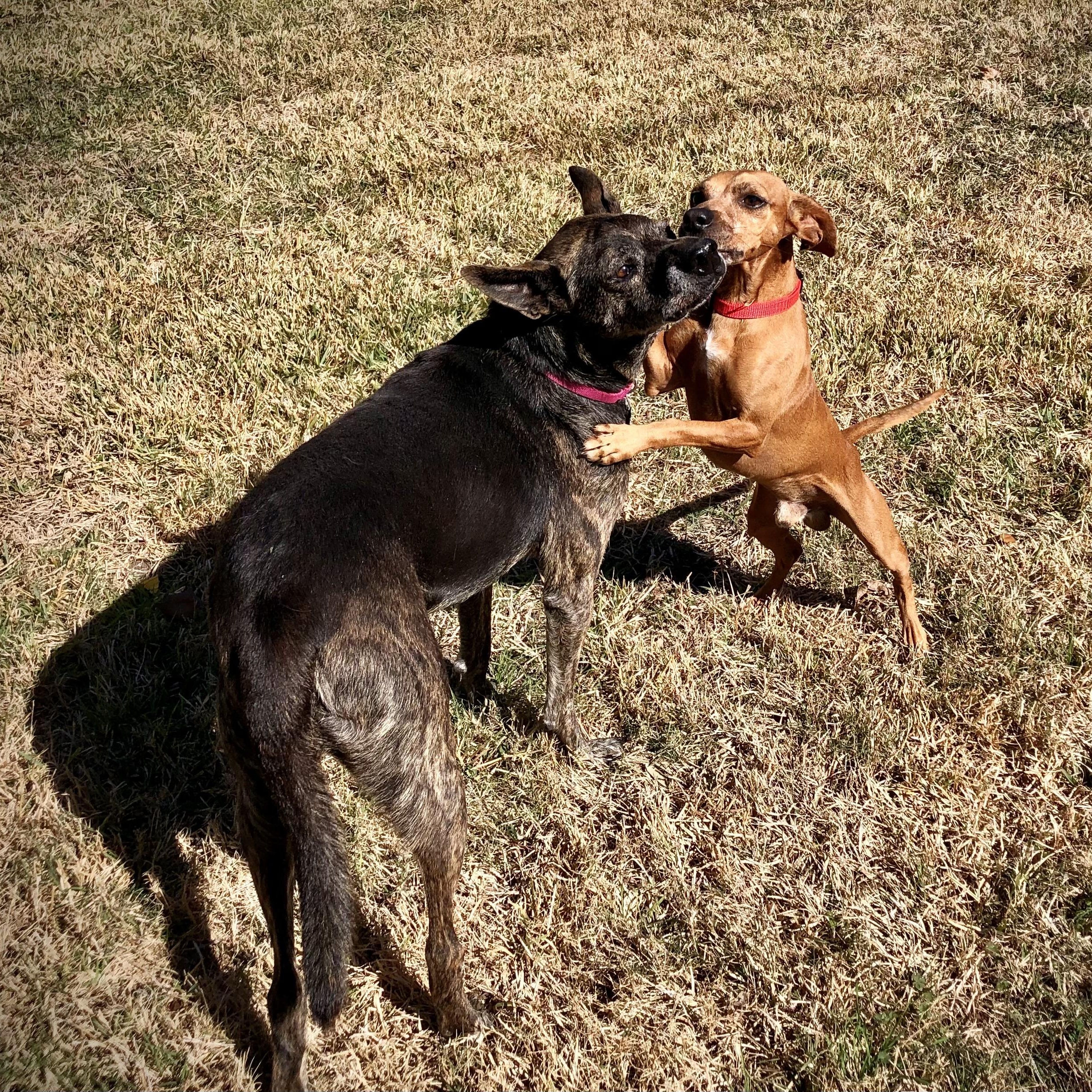 Danny and Wally — thumbnail 3