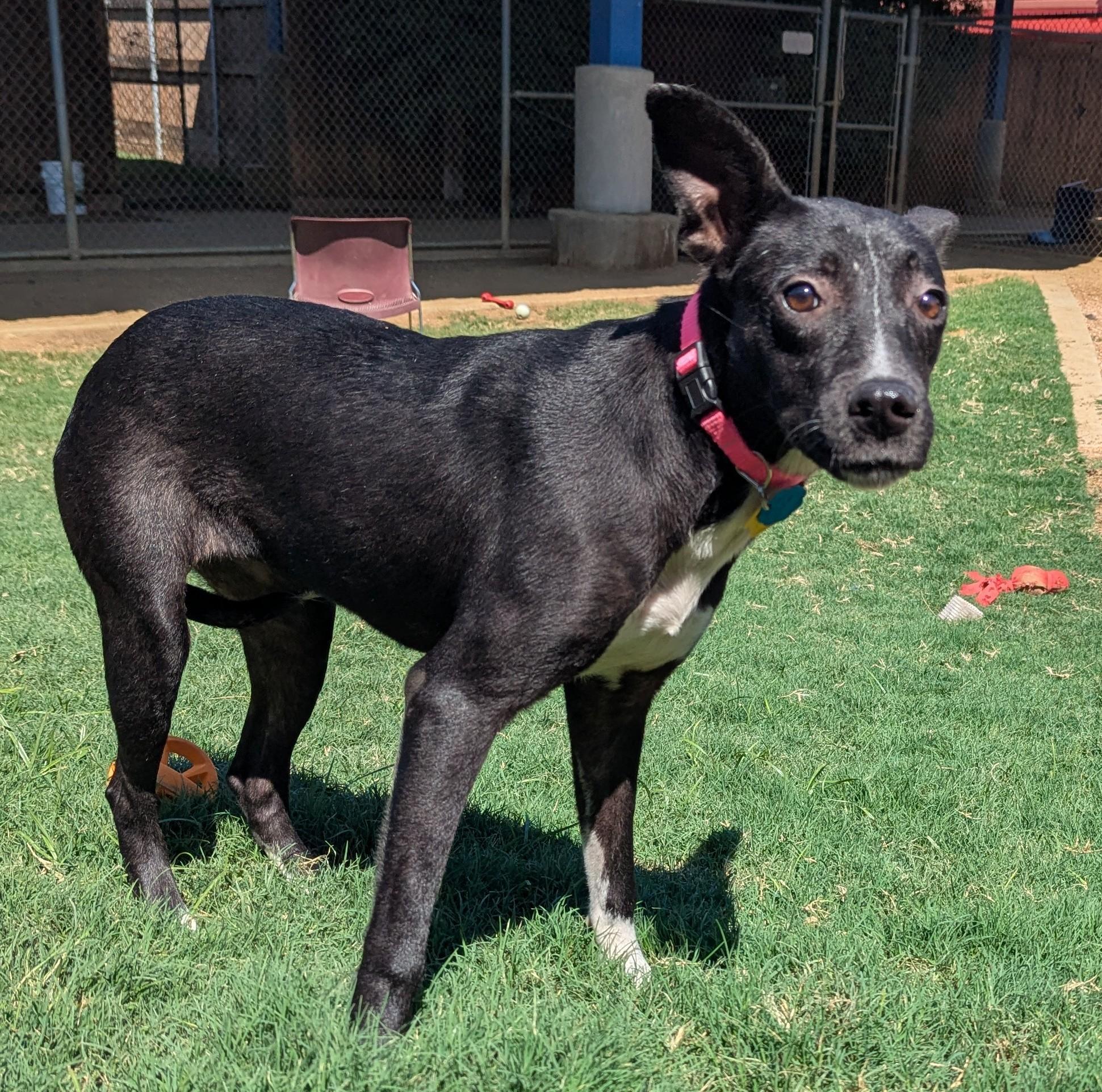Ellie Mae* A212715