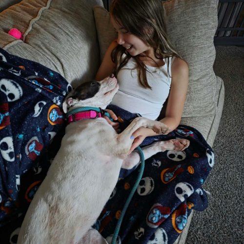 Enlarge Talulah, a Adopted mixed breed in Georgetown, KY image 2/6