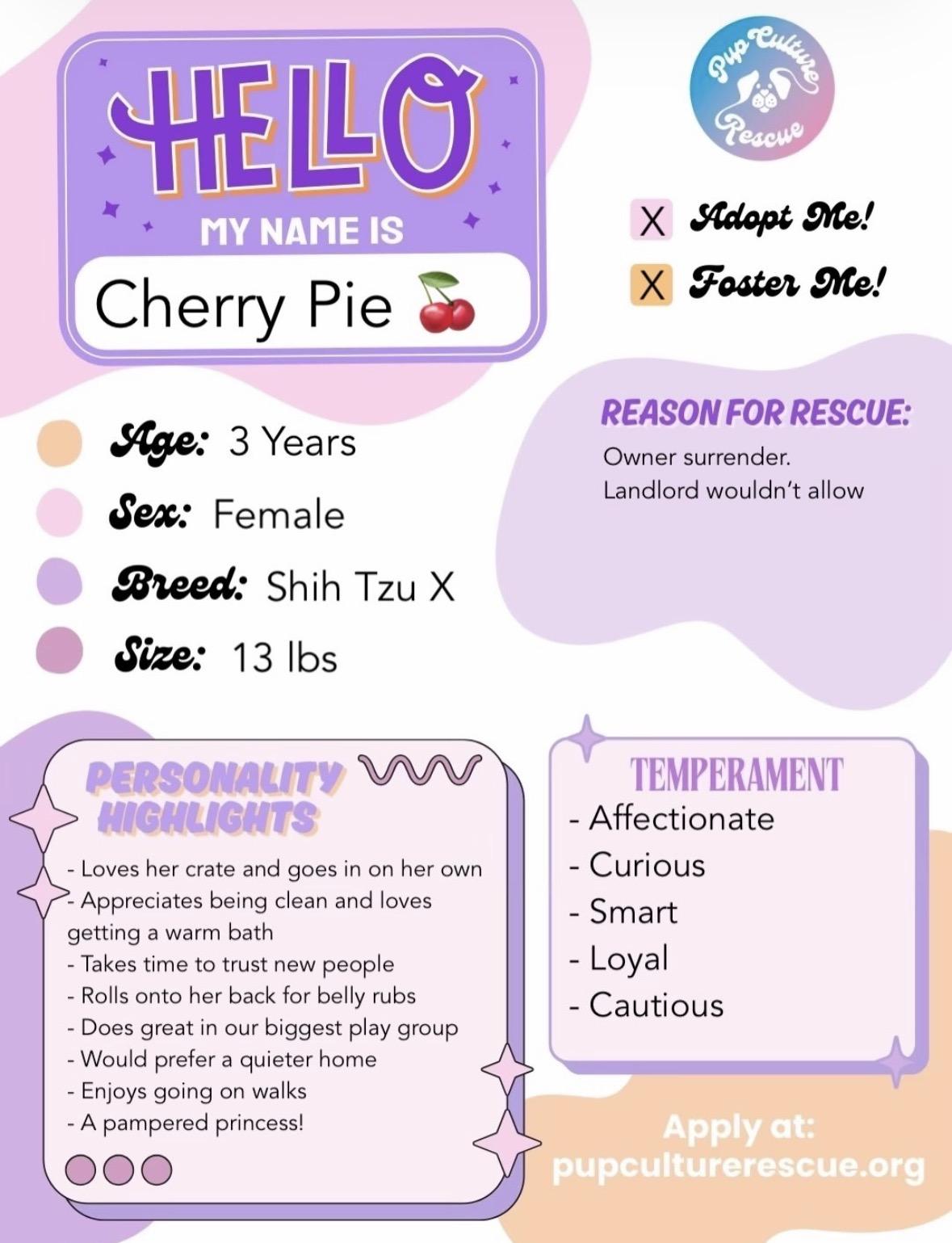 Enlarge Cherry Pie, a Adoptable mixed breed in Pasadena, CA image 2/5