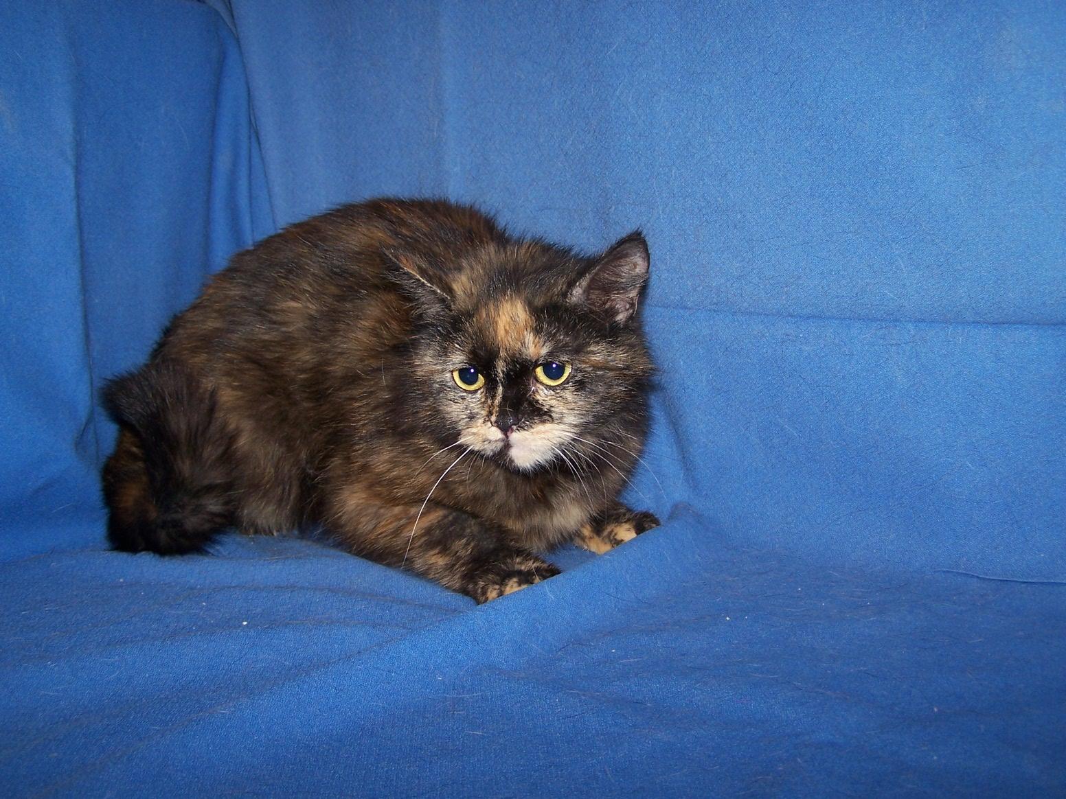 Bonnie