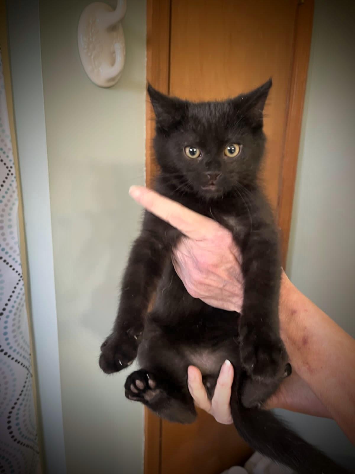 Benjamin Franklin thumbnail 2