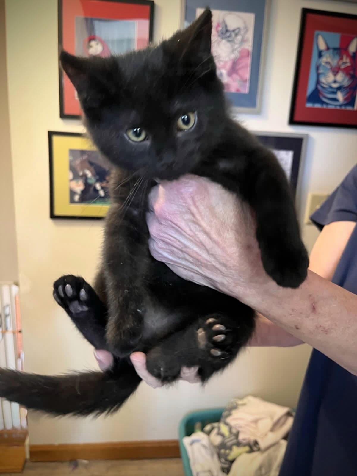 Benjamin Franklin thumbnail 3