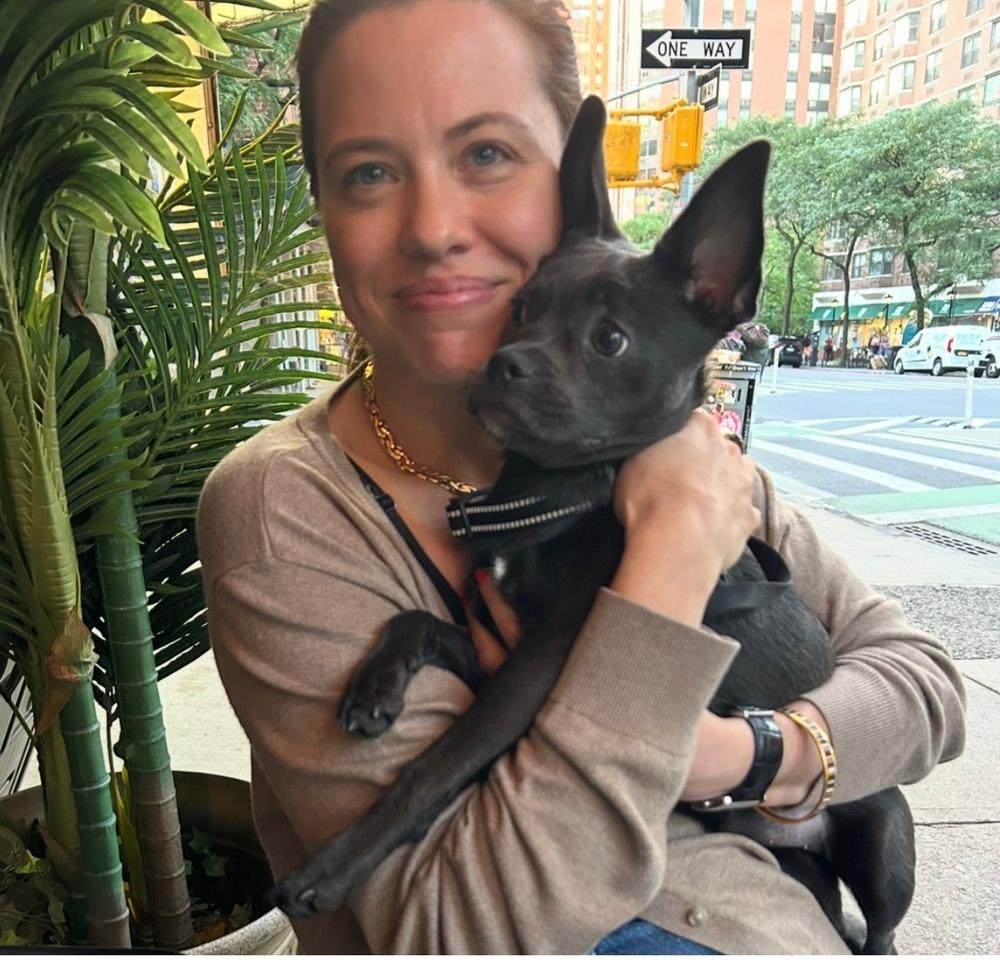 Enlarge Jade, a Adopted mixed breed in Brewster , NY image 2/5