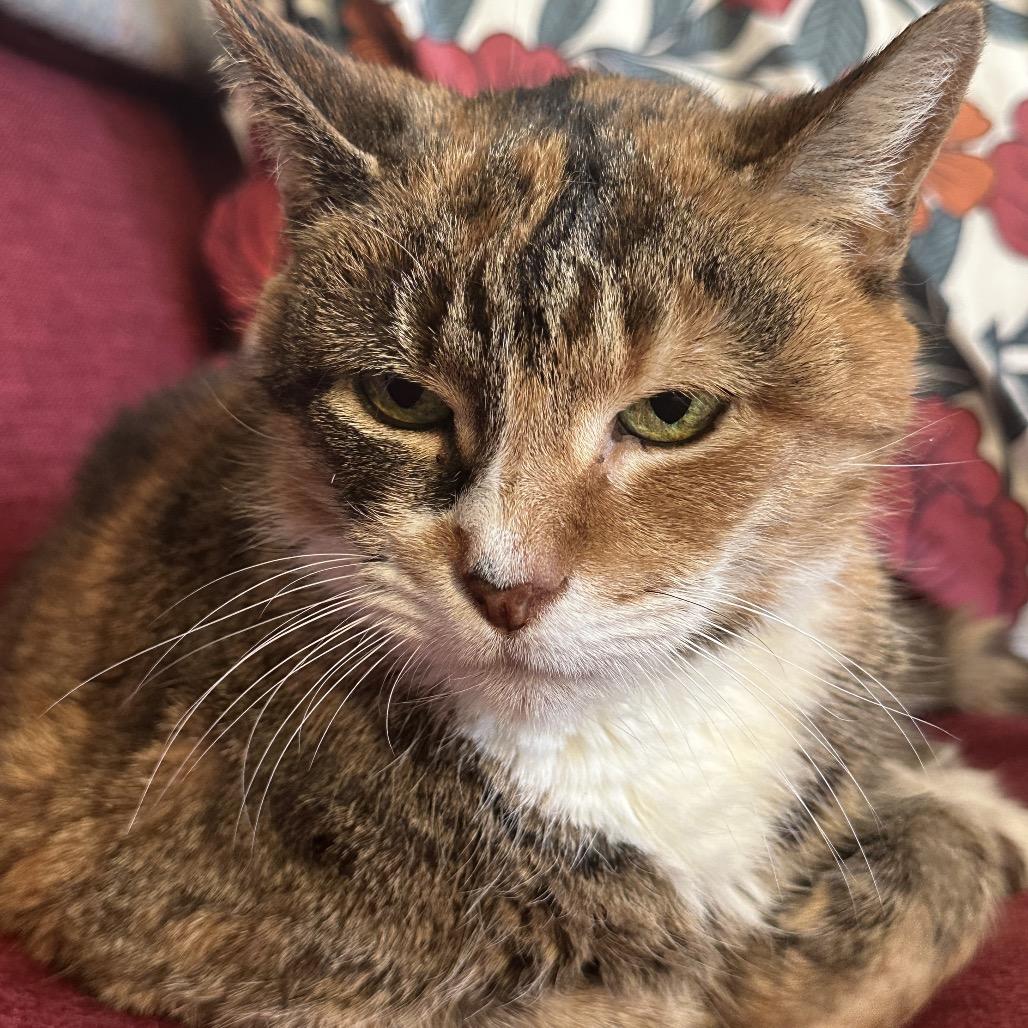 Patty Cake — thumbnail 6