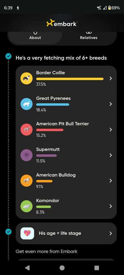Gordie, a Adoptable mixed breed in Rhinelander, WI image 2/3