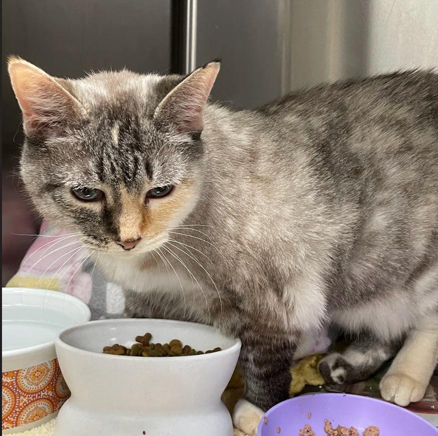 Jenny — thumbnail 2