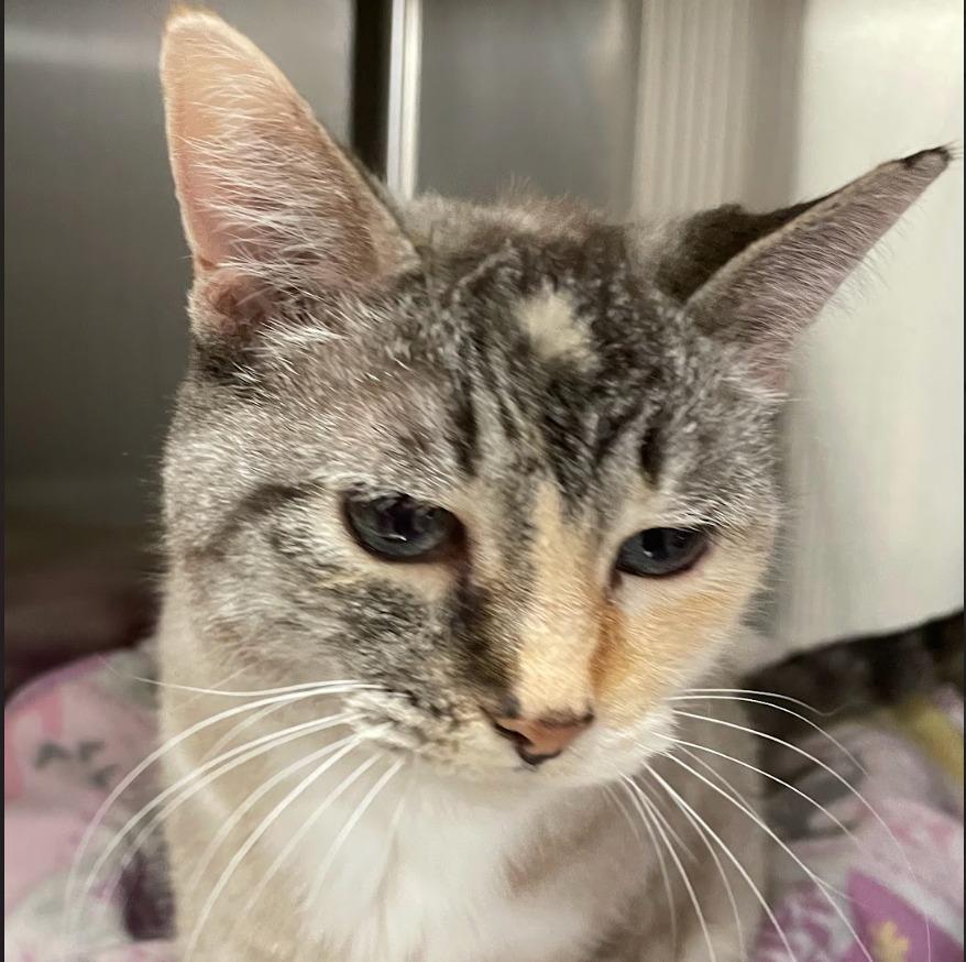 Jenny — thumbnail 3