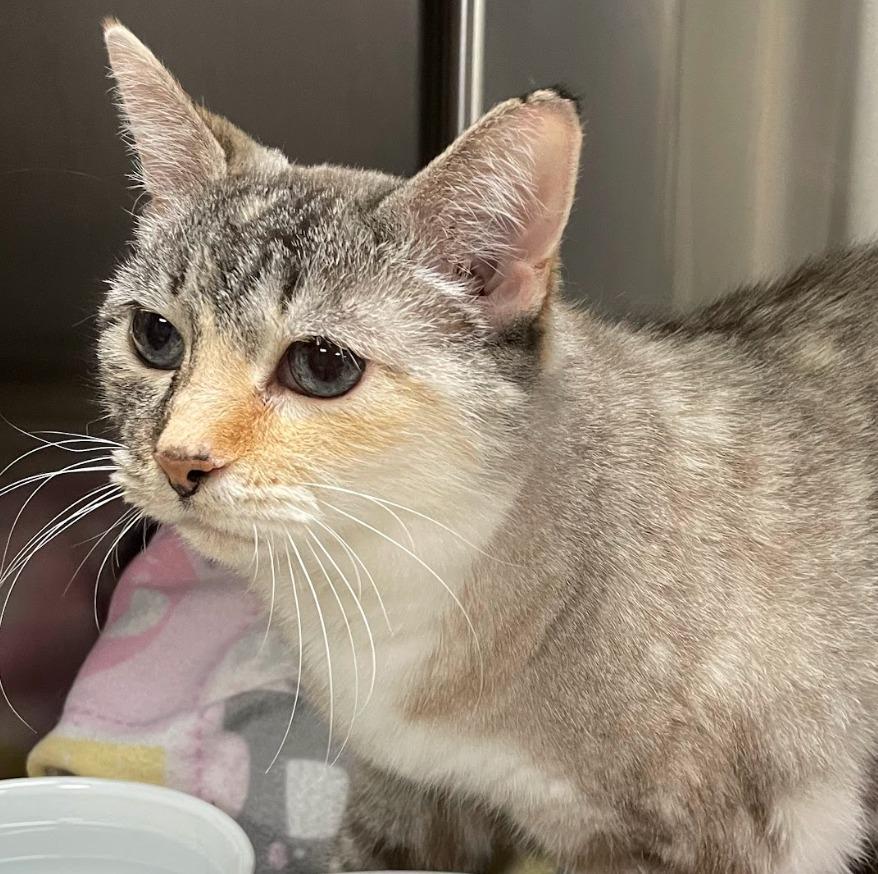 Jenny — thumbnail 4