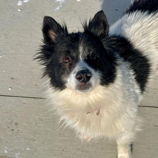 Lilly — thumbnail 2