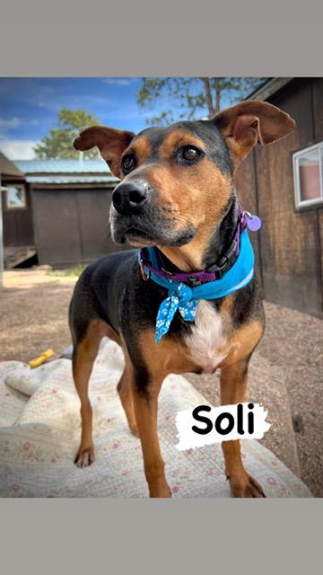 Soli thumbnail 2