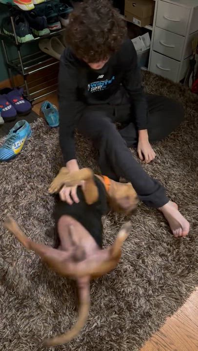 Enlarge Foster Zoran!, a ADOPTABLE mixed breed in Oswego, IL video 2/5