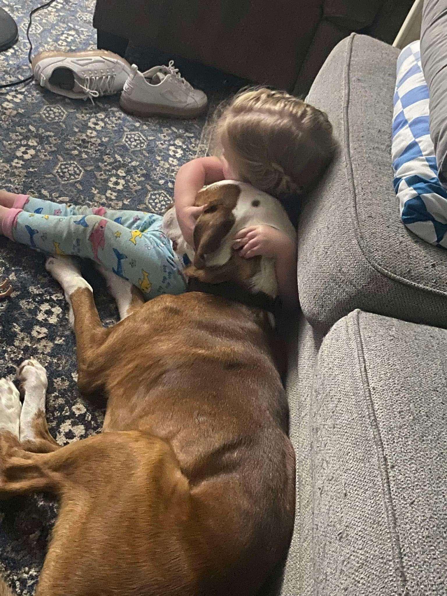 Enlarge Luchee and Eli, a Adoptable mixed breed in Cincinnati, OH image 4/6