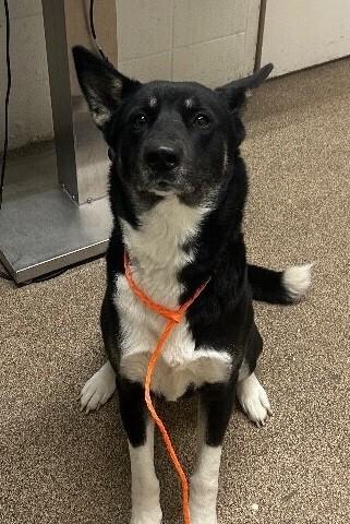 Bonita — thumbnail 5