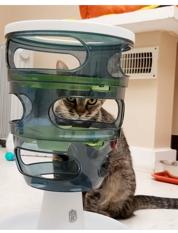 Virginnia - Purrmanent Resident — thumbnail 2