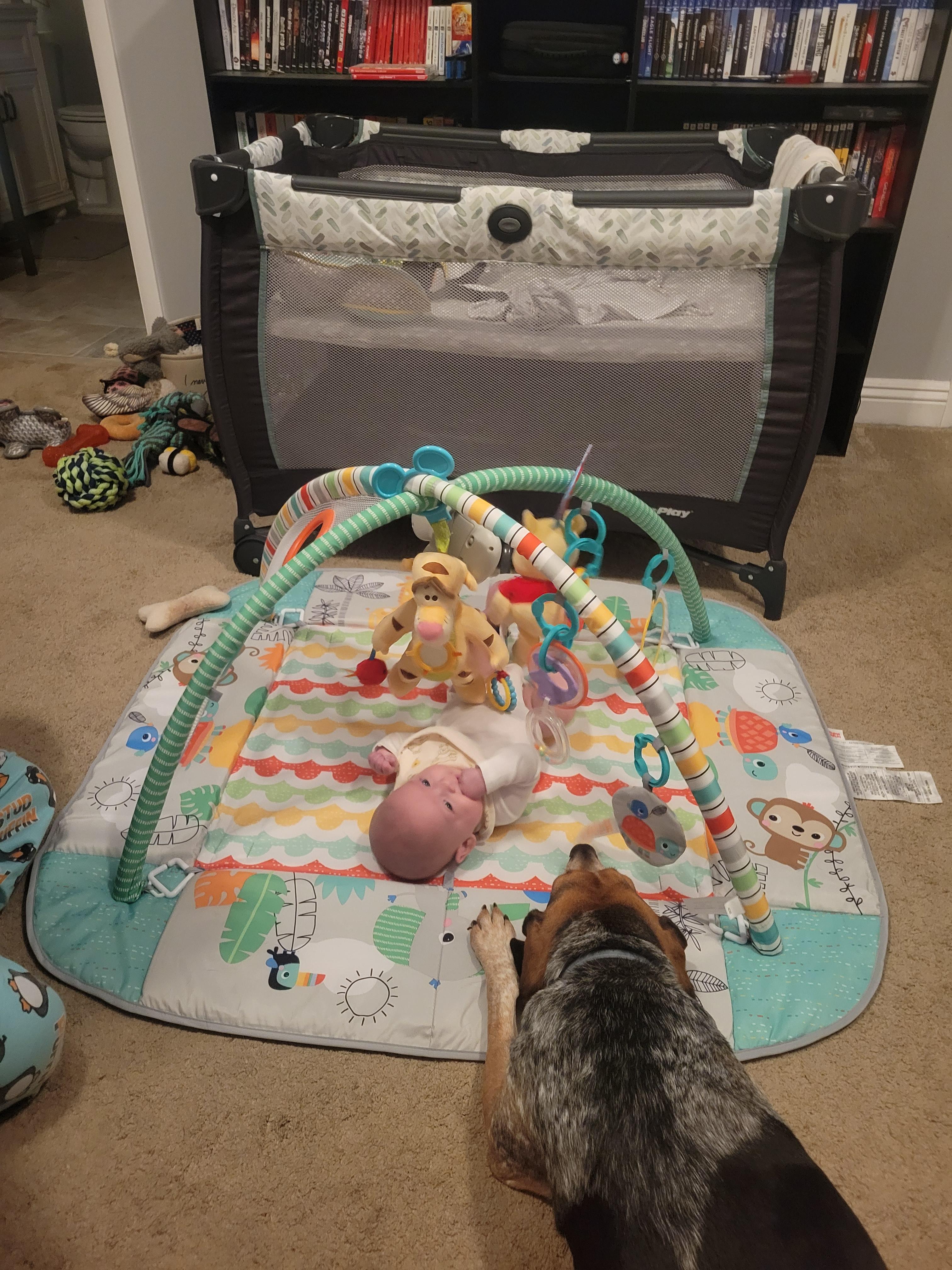 Stanley (courtesy post)