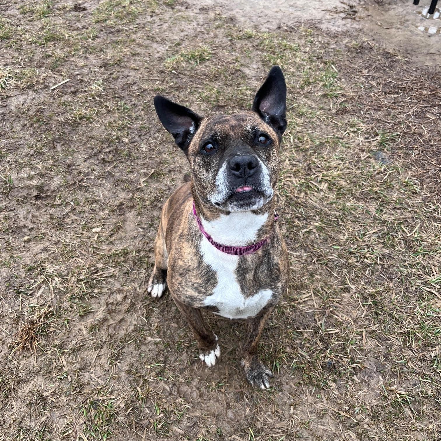 Mija (Me-Ha) — thumbnail 2